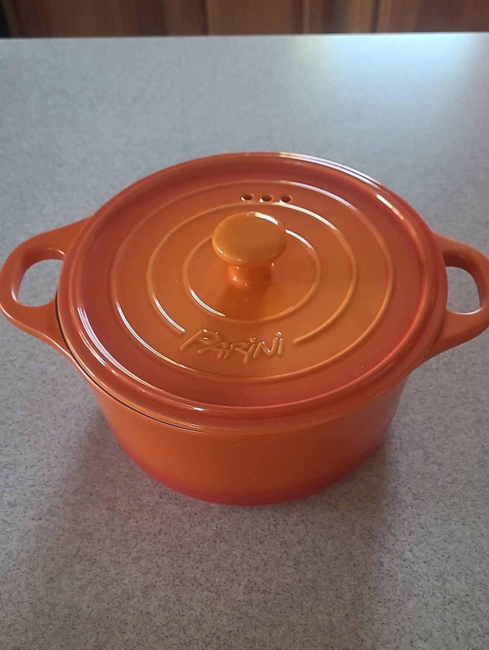 Parini Orange Enameled Cast Iron Dutch Oven - Orange